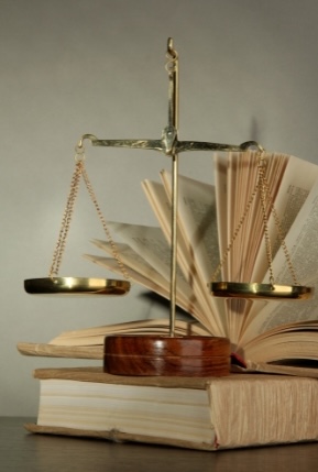 Images for Immi1 - 11